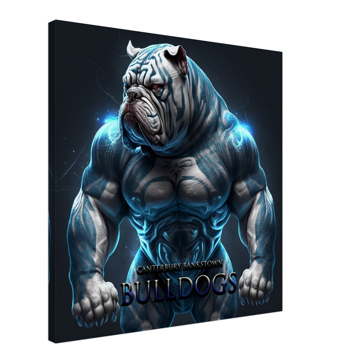 CANTERBURY BULLDOGS 2
