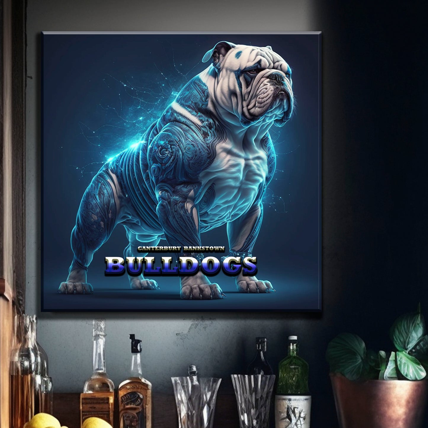 CANTERBURY BULLDOGS 3