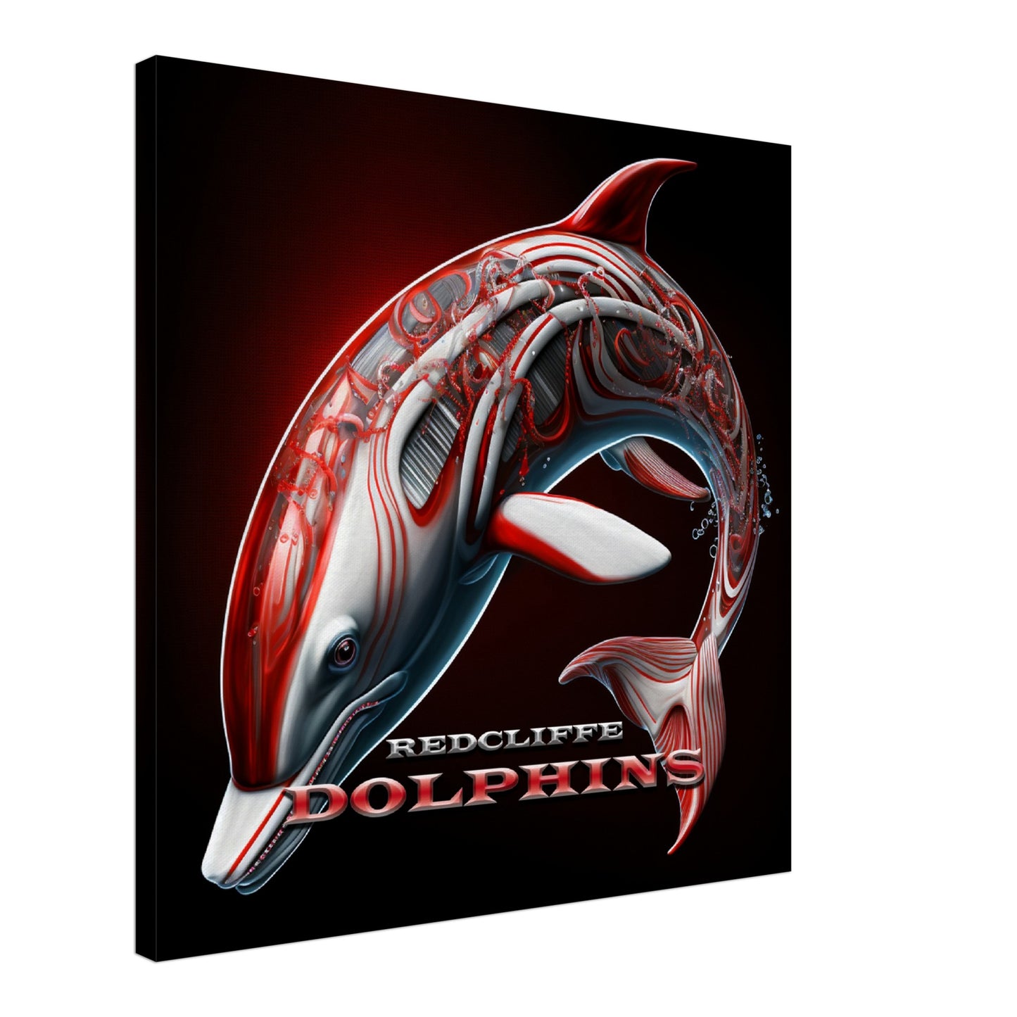 REDCLIFFE DOLPHINS 1