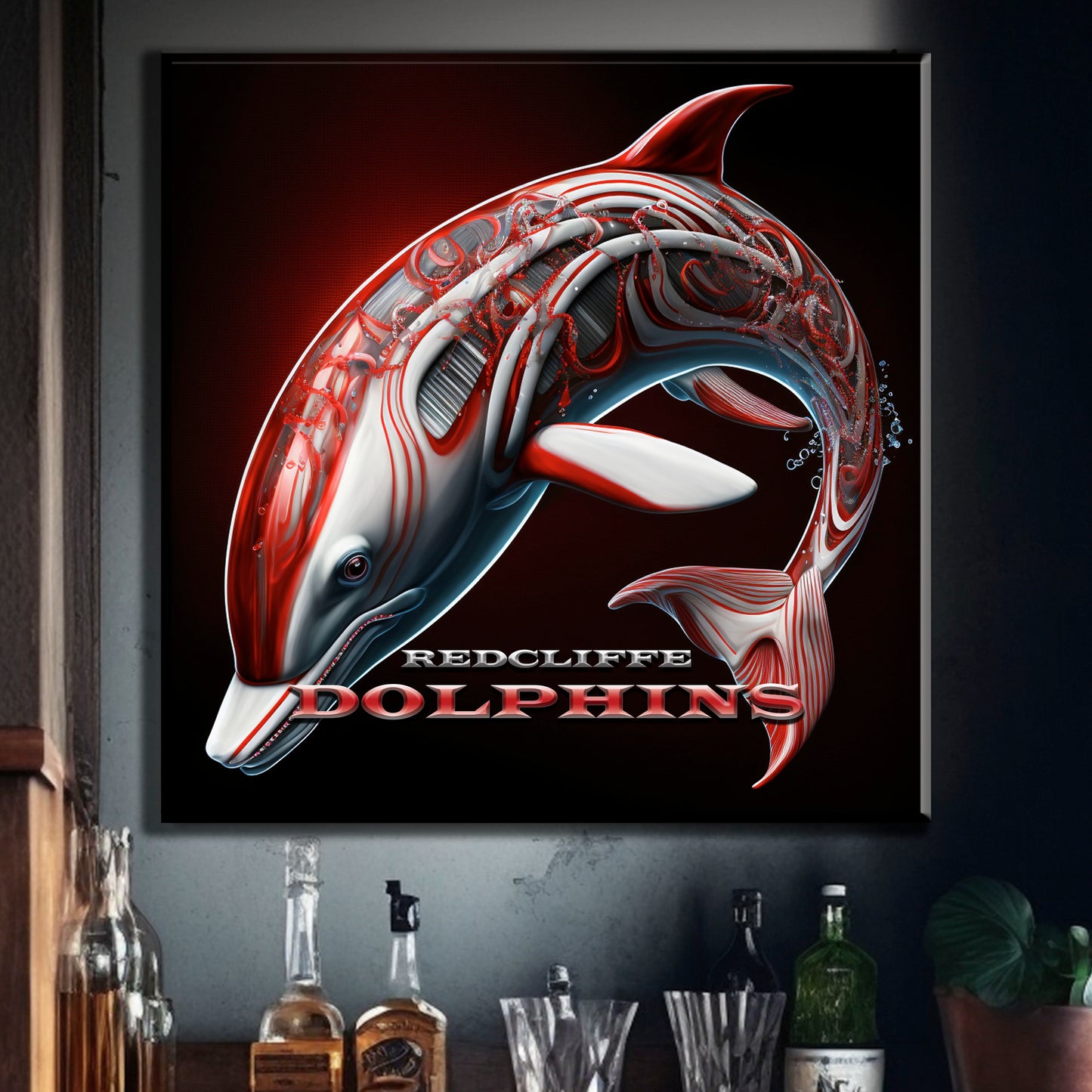 REDCLIFFE DOLPHINS 1
