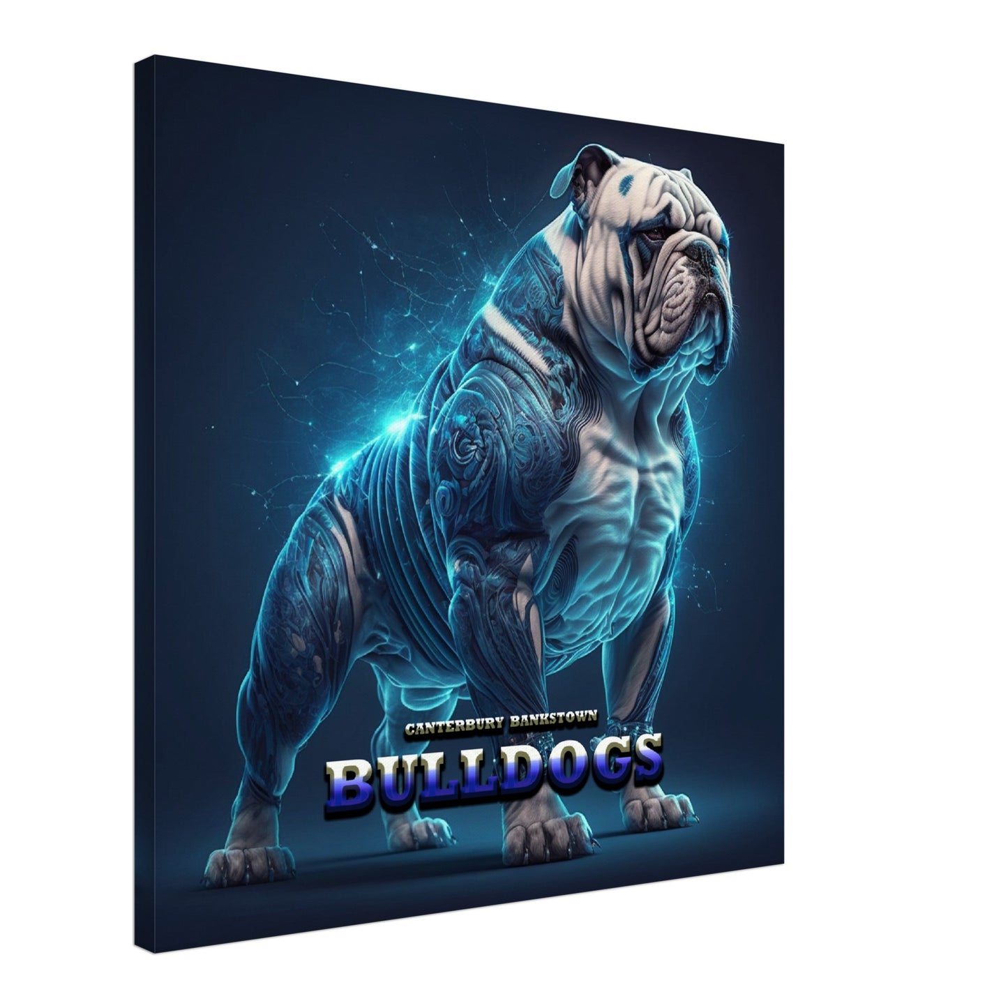 CANTERBURY BULLDOGS 3