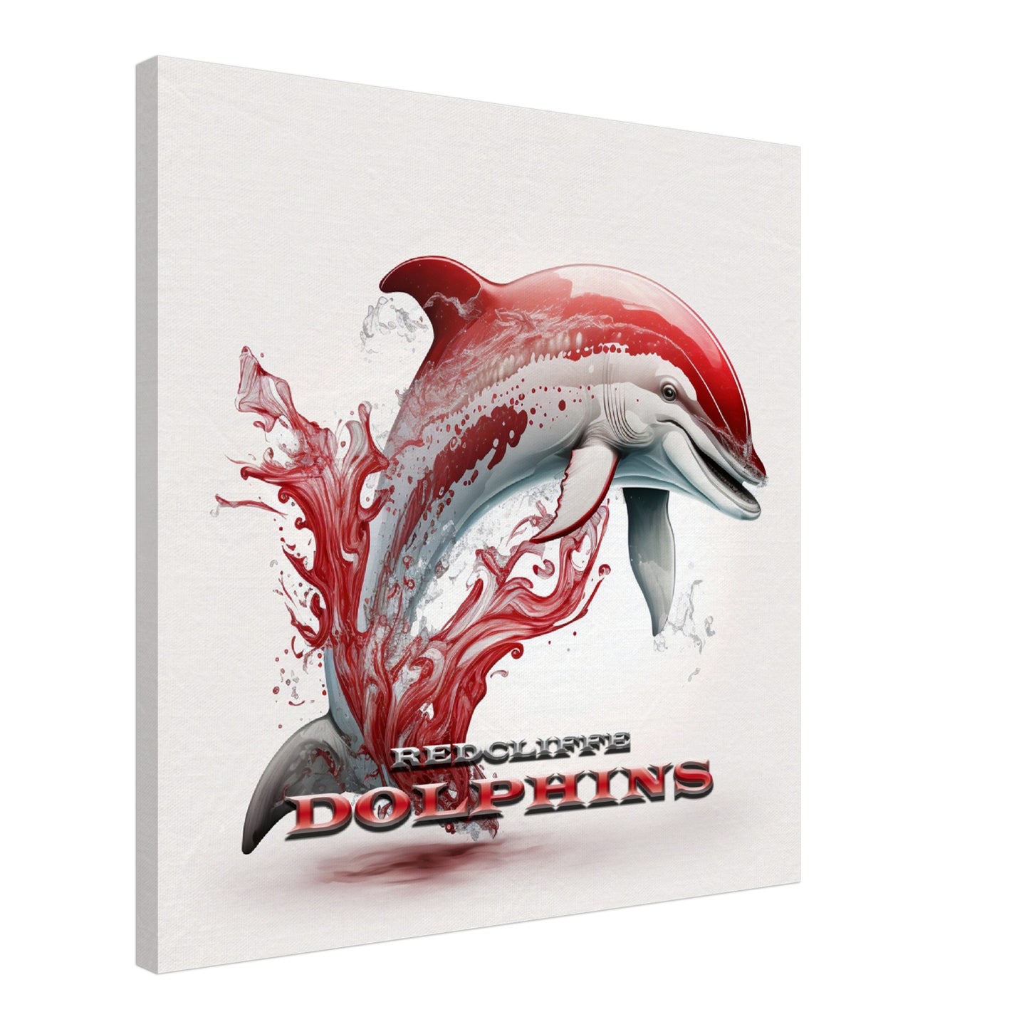 REDCLIFFE DOLPHINS 2