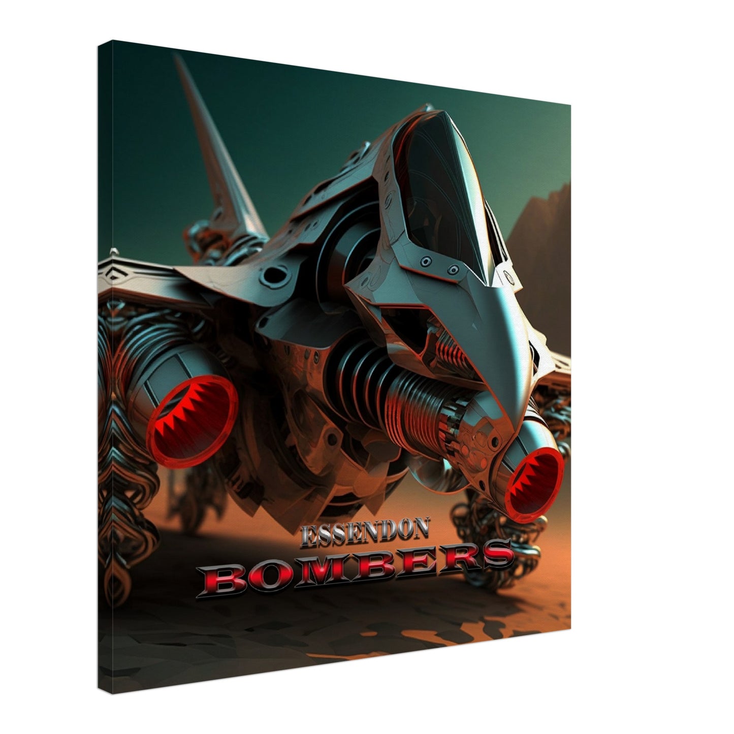 ESSENDON BOMBERS 1