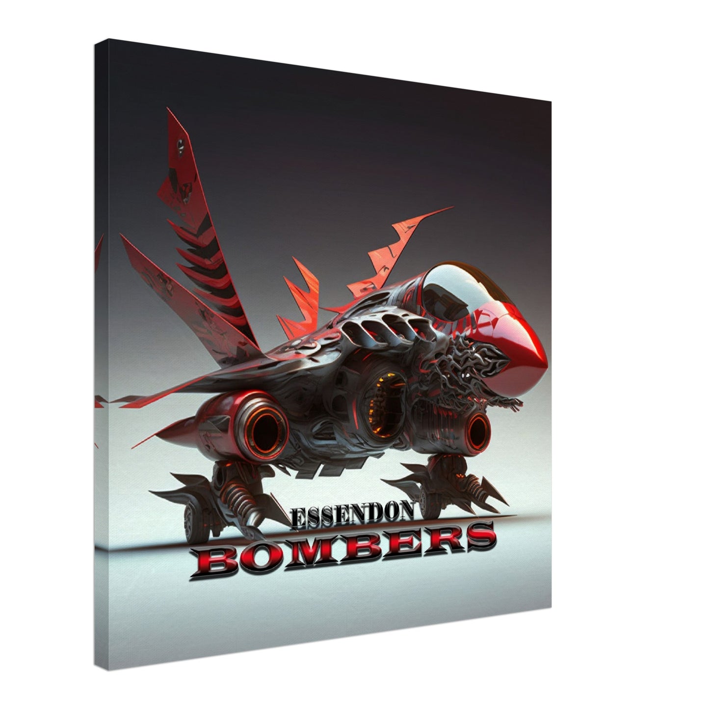ESSENDON BOMBERS 2
